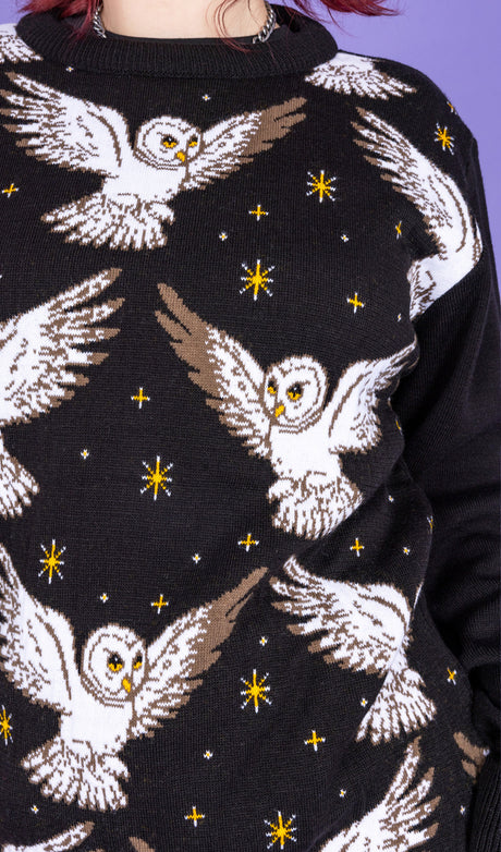 What A Hoot Owl Jumper by Run and Fly