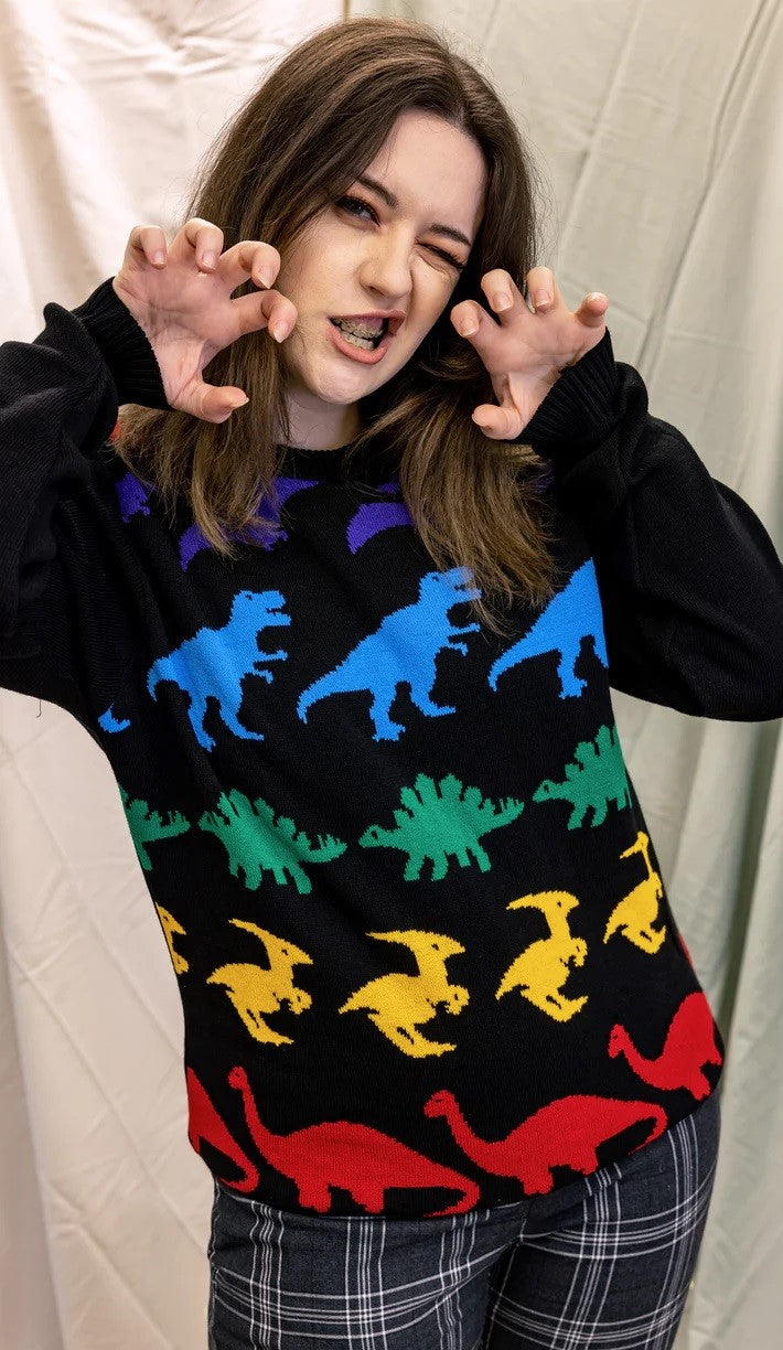 Rainbow Dinosaur Stripe Jumper by Run and Fly