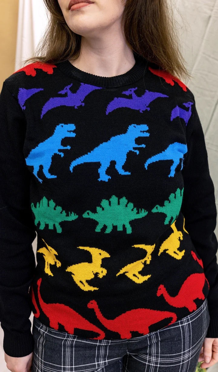 Rainbow Dinosaur Stripe Jumper by Run and Fly