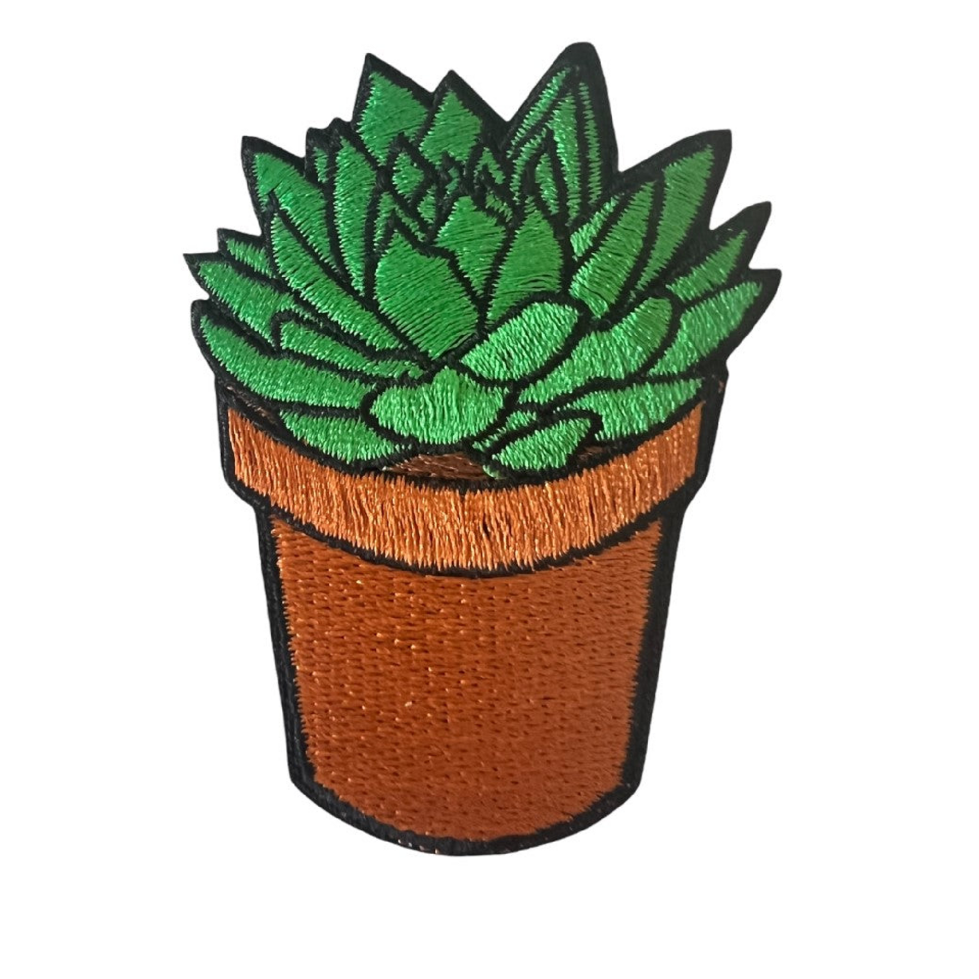 Succulent Patch